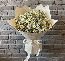 Букет цветов из:  Ромашки в Прикубанский