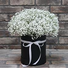 Цветочная композиция из Гипсофила в шляпной коробке в Прикубанский