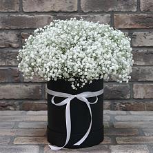 Цветочная композиция из Гипсофила в шляпной коробке в Прикубанский