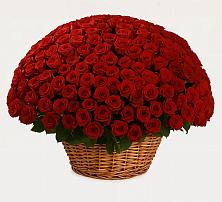 Премиум букет из: Розы #REPLACE_PRED# Прикубанский