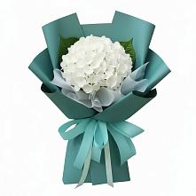 Букет цветов из:  Гортензия в Прикубанский